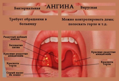 Иллюстрация 2