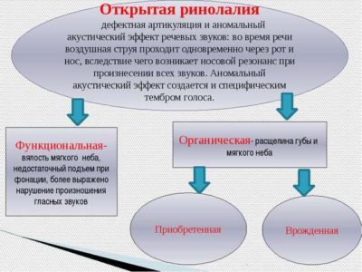 Иллюстрация 1