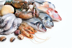 Польза морепродуктов после удаления щитовидки