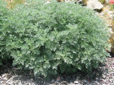 Иллюстрация 9