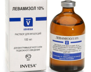 Иллюстрация 5