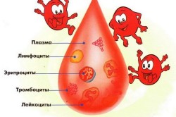 Элементы крови