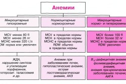 Типы анемии